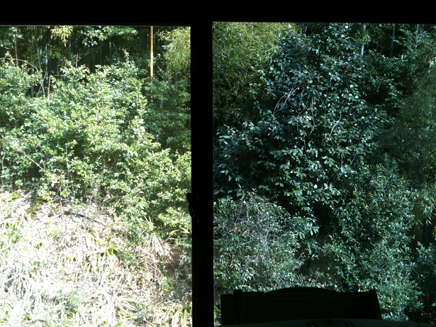 �f�M�t�B����