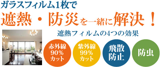 �Ռ��t�B�����@�Ռ��V�[�g�@���˒����t�B�����@�f�M�t�B����